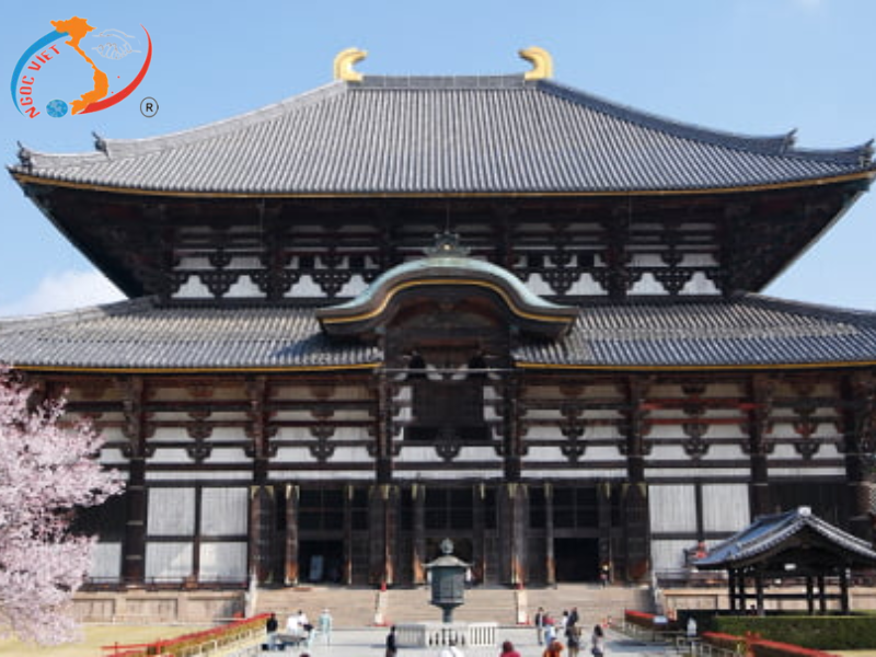 TOUR OSAKA - KYOTO - YAMANASHI - TOKYO - LỄ HỘI HOA CHI ANH