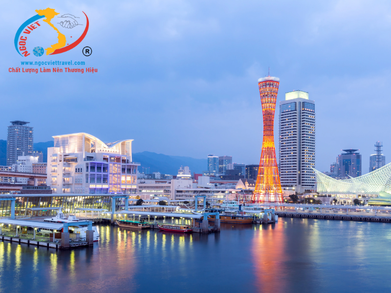 TOUR NHẬT BẢN - TRƯỢT TUYẾT VÀ NGẮM HOA MƠ - TẾT NGUYÊN ĐÁN 2026