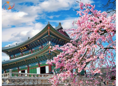 CHECKIN MÙA LỄ HỘI XỨ SỞ KIM CHI - KHU VUI CHƠI LOTTE WORLD LÀNG CỔ - TRƯỢT TUYẾT – HÁI DÂU